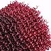 Pack of 9 Marlybob Crochet Braids Hair Ombre Burgundy Afro Kinky Curly Braiding Hair Extensions 8Inch Small Synthetic Braiding Hair for Women (1B/Bug#)