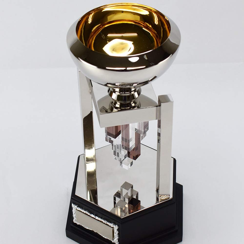 WIN トロフィー カップ 【名入れ対応】 シルバー 真鍮製 高さ255mm BS-6500C