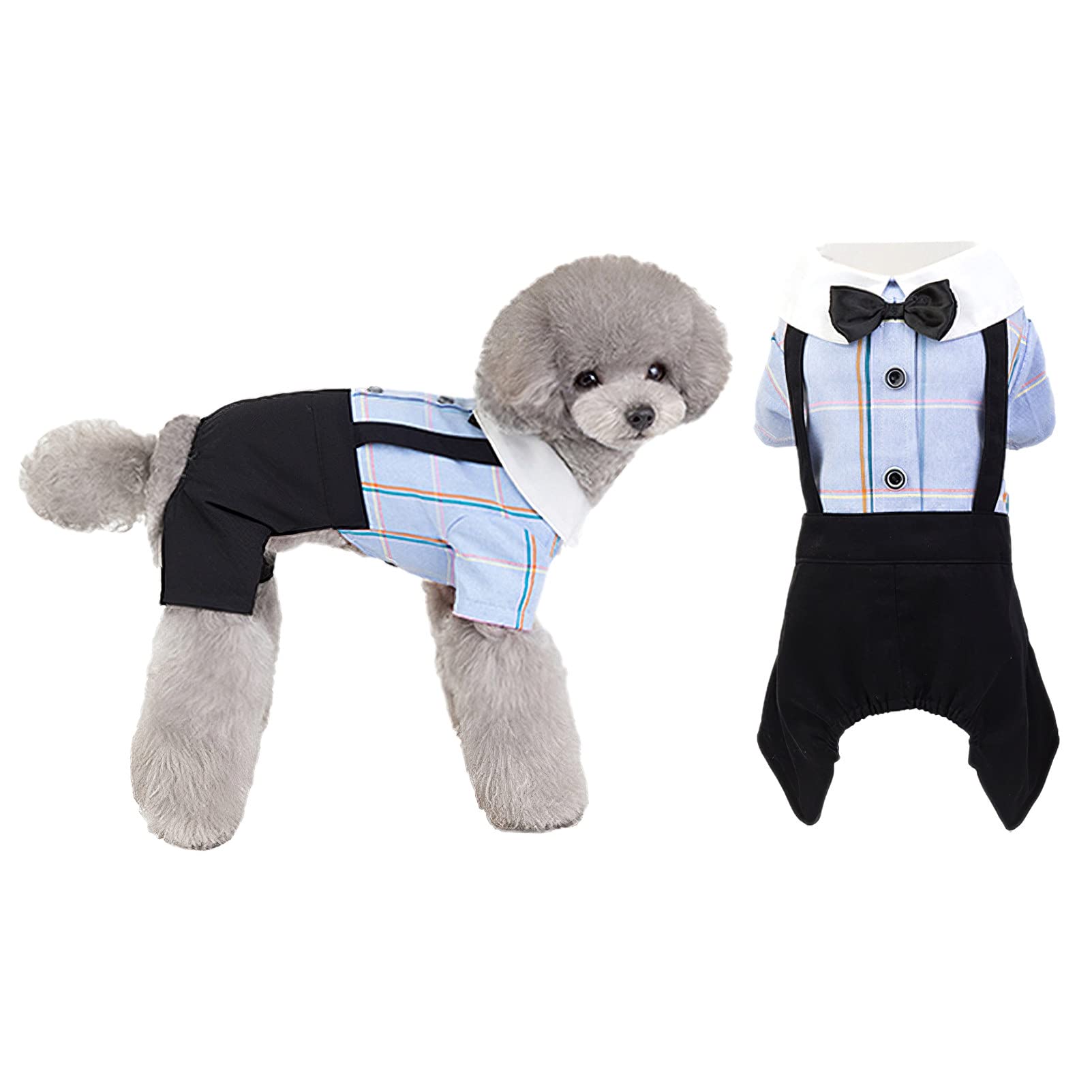 Salopette pour chien idéale pour les balades dominicales en taille XL