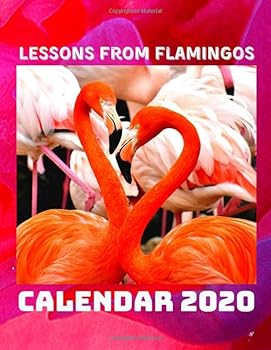 Lessons from Flamingos Calendar 2020 : January 2020 - December 2020 Photo Book Calendar Monthly Planner with Flamingo Inspirational Quotes