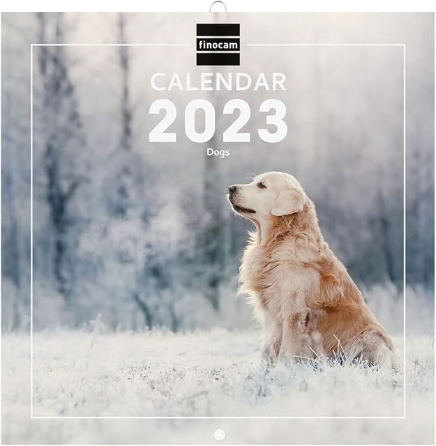 Finocam - Calendar 2023 International Wall Pictures January 2023 - December 2023 (12 months) Dogs International