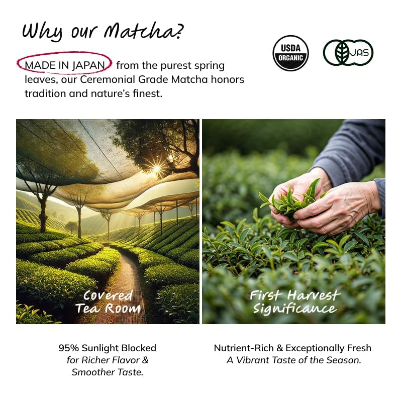 Image of ILEM JAPAN, Matcha Green Tea Powder (25 Serving , 50g) | Best before August 2026 | Pure Ceremonial Grade Organic Japanese Matcha | First Harvest | Authentic & Premium Matcha Tea Powder Sourced From Kagoshima, Japan | Detox Drink | Improve Metabolism