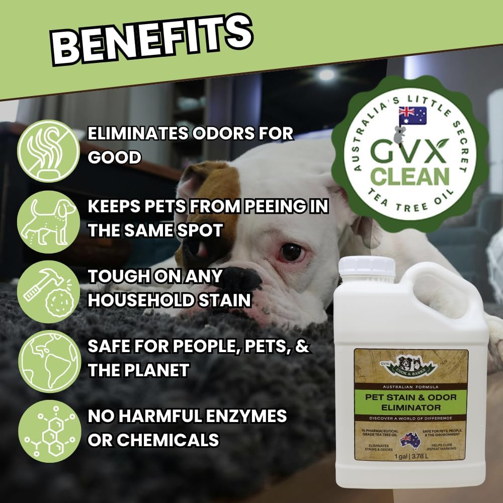 GVX Pet Stain & Odor Eliminator for Home - Pet Carpet Cleaner – Urine Odor Eliminator – Carpet Stain Remover – Cat & Dog Pee Spray Cleaner (1 Gallon)