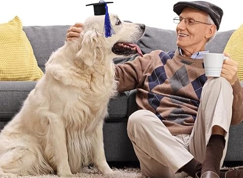 Miniatura 9 de Gorras de graduación para mascotas con borla azul, 2 unidades, sombreros para fiesta de graduación para perro, disfraz de graduación de animales