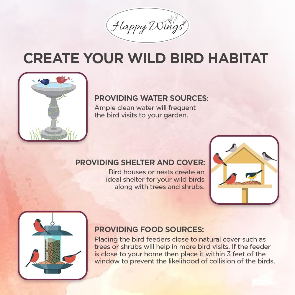 Happy Wings Semillas de maní sin cáscara Alimento para pájaros Silvestres - 5 Libras I Semillas sin Cultivo I Semillas para pájaros Silvestres