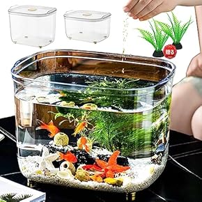 金魚鉢から飛び出して 金魚鉢から飛び出して GEX 匠の技が生きる金魚鉢/中 : DCM