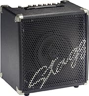 40W RMS, 2-channel combo for Electric Double Bass featuring on CH1 (MIC) Line level input jack w/ Gai40W RMS, 2-channel combo for Electric Double Bass featuring on CH1 (MIC)