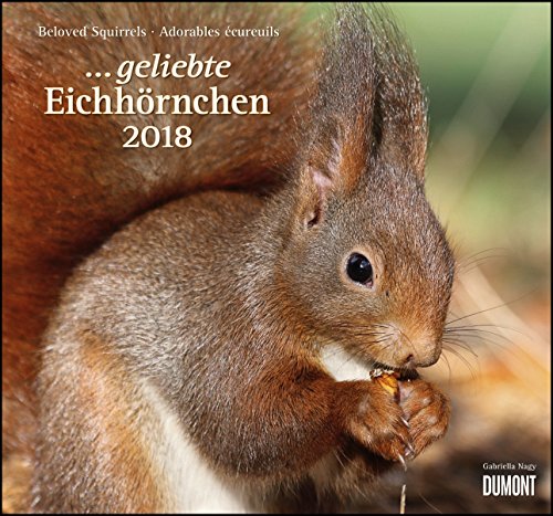 Geliebte Eichhörnchen 2018 - DuMont Wandkalender