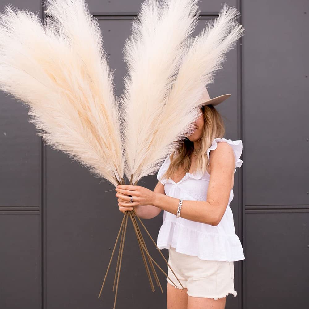 Fausses Plantes Simulées Fleurs Séchées， 1 Pièces Faux Herbe De Pampa Décor Plume Herbe Artificielle Phragmites Australis Vase Décorations Faux Roseaux Plantes Fleurs Éternelles Pampas Grass Vase(Burg
