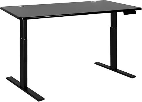 Autonomous Edition Electric Standing Desk