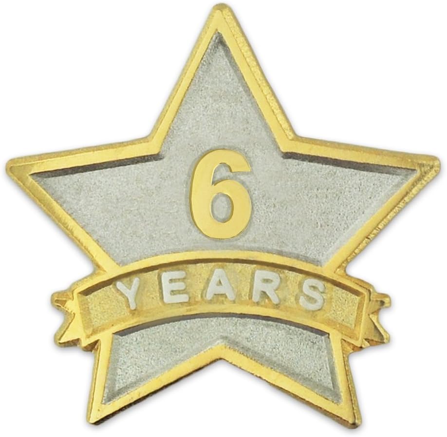 Pinmartの年6サービスAward Star Corporate認識デュアルメッキラペルピン 25