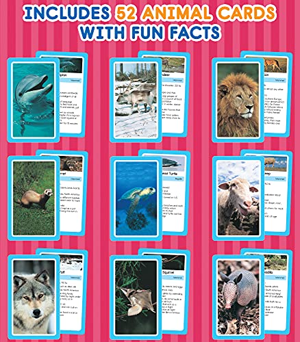 Carson Dellosa Animal Flash Cards, Animal Flash Cards For Toddlers 2-4 Years, Zoo Animals, Sea Animals, Insects, Reptiles, And Other Mammals, Preschool And Kindergarten Flash Cards #TOP2