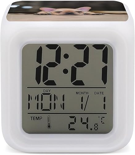 Reloj despertador Bulldog francés 7 colores reloj digital lindo reloj de noche para decoración de oficina en casa