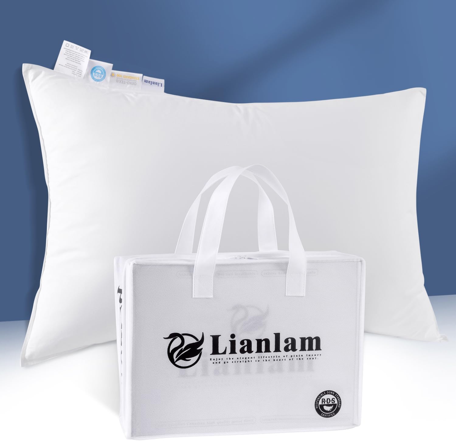 Electronics and Beyond