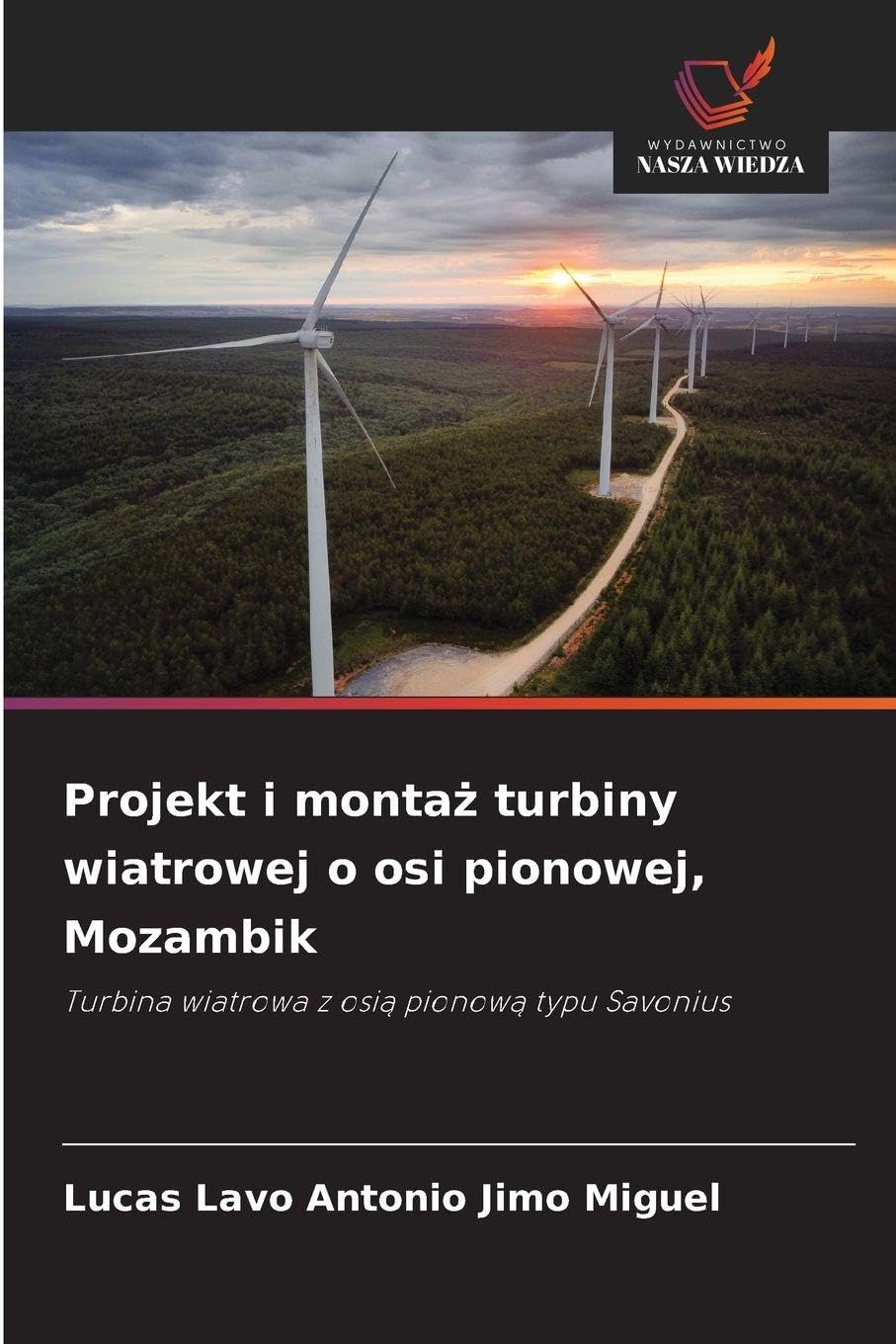 Projekt i monta¿ turbiny wiatrowej o osi pionowej, Mozambik: Turbina wiatrowa z osi¿ pionow¿ typu Savonius