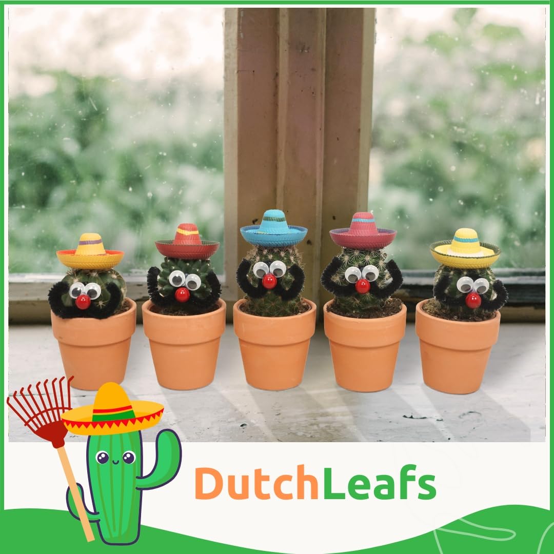 10 Stück Mexikanische Kakteen mit Sombrero im Ø 7 cm Terrakotta Blumentopf - Ideale Kaktus Deko für Zuhause, Büro, Restaurants, Hotels - Höhe 8-15 cm