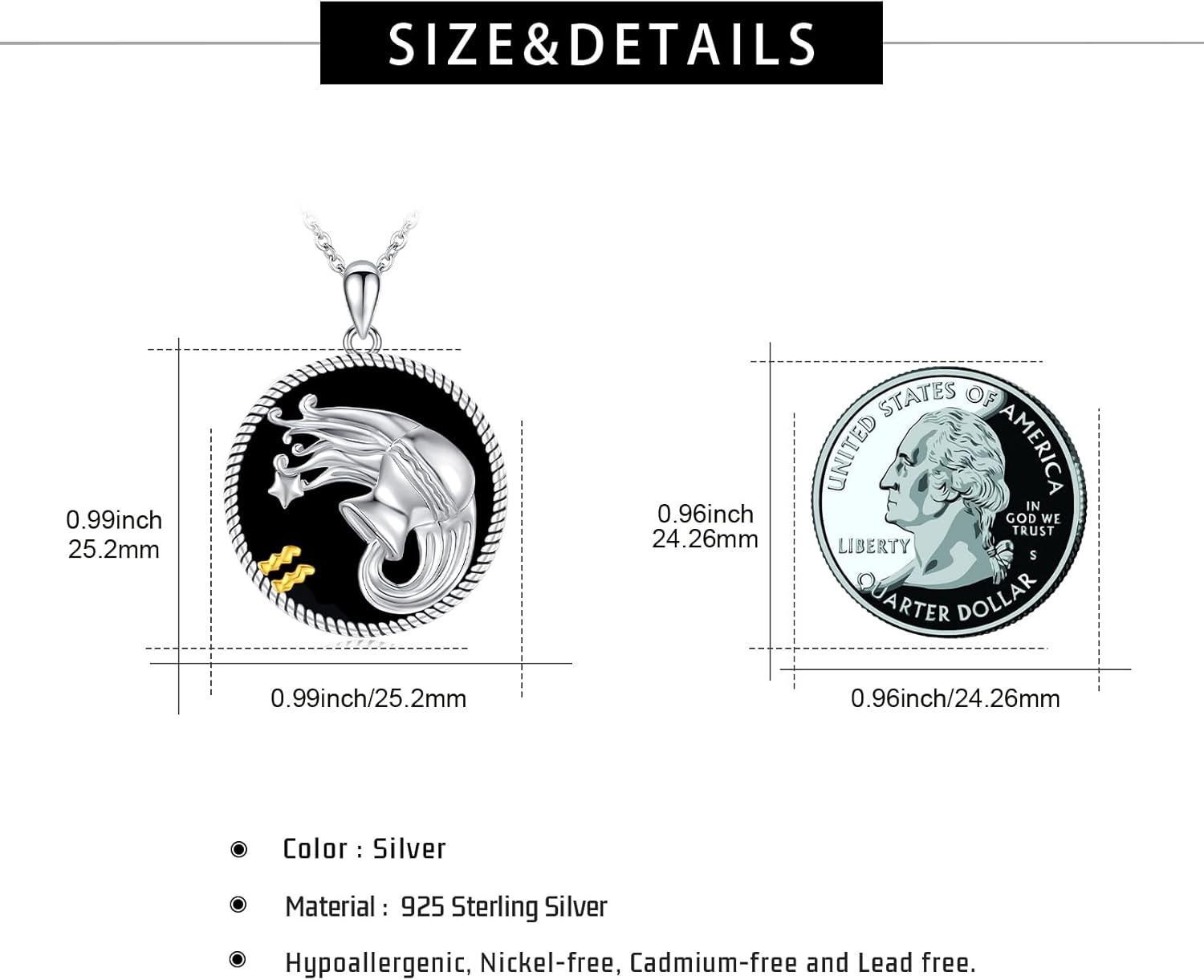 12 Constellation Necklace 925 Sterling Silver Zodiac Sign Coin Pendant Necklaces Black Onyx Astrology Horoscope Jewelry Birthday Gifts for Women Men - Image 6