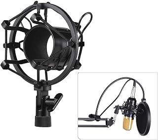 dsfen Metal Univerdal Condenser Microphone Mic Shock Mount Holder Bracket Anti-Vibration for On-line Broadcasting Studio Music Recording