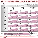 Royal Canin Veterinary Renal | 12 x 200 g | Diätalleinfuttermittel für ausgewachsene Hunde | Kann zur Unterstützung der Nierenfunktion bei chronischer Niereninsuffizienz beitragen | Mousse