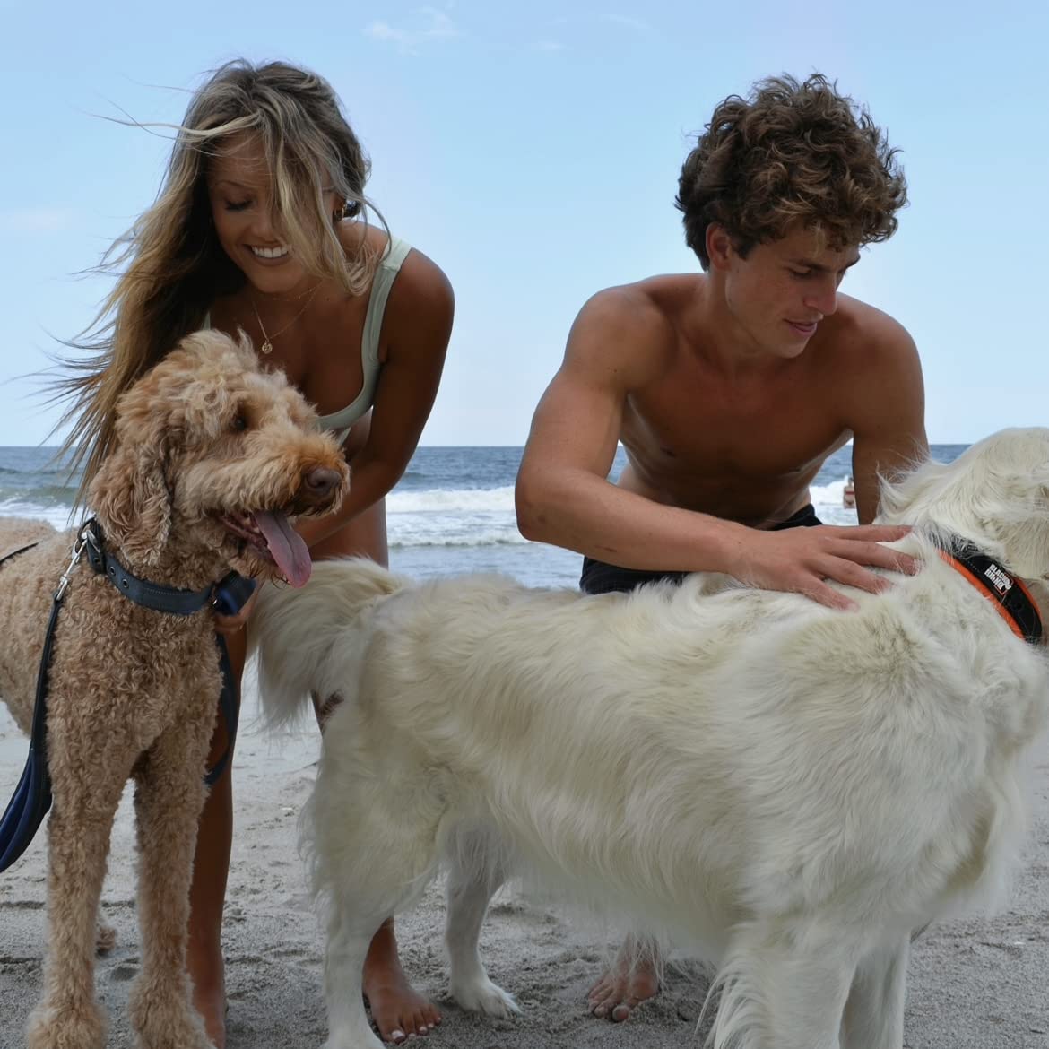 Black Rhino - Collare per cani imbottito in neoprene ultra morbido, per tutte le razze, confortevole, resistente, regolabile, riflettente, impermeabile (L, Arancione/Nero)