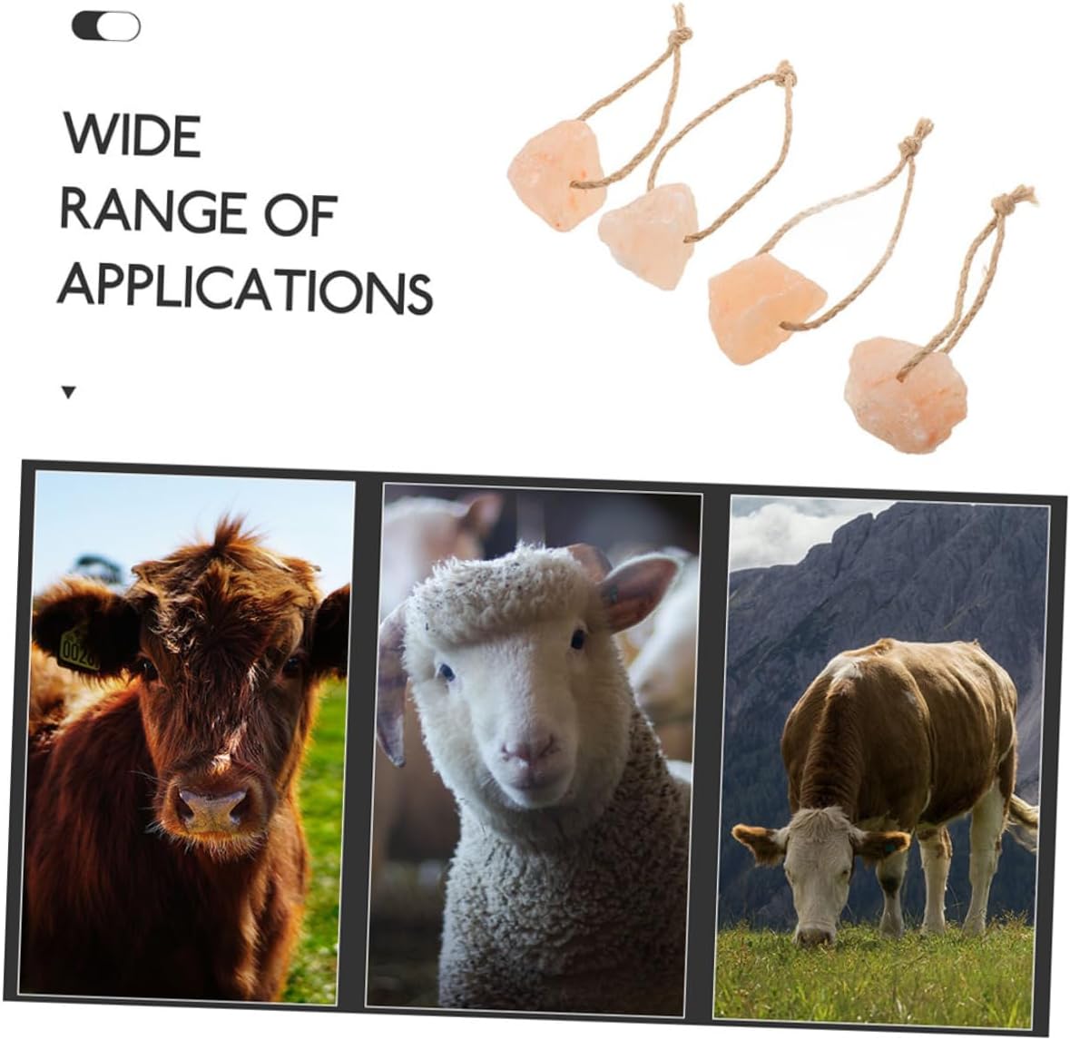 BESPORTBLE 12pcs Salt Lick Blocks Cows Deer Mineral Rich Salt Blocks with Holder Easy to Distribute Lick for Livestock