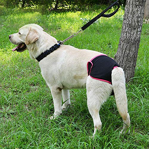 Dog Underwear Reusable Cotton Female Pet Sanitary Pants Puppy Physiological Pants Pet Sanitary Diaper Breathable Pet Sanitary Underwear Briefs (Xl Black) #TOP3