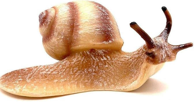 Snail Realistic Model Animal Insect Mini Figure Toy Educational Educational Creature