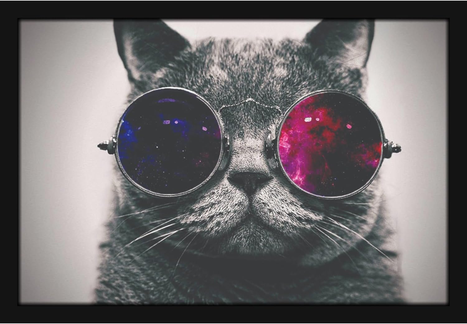 Mad Masters Cat Pet Animal Painting Aesthetic Hanging Photo Frame Decorative Item Home Decoration and Wall Decor for Living Room and Bedroom (MM 1378, 8x12 Inch, Paper, With Plexi Glass)