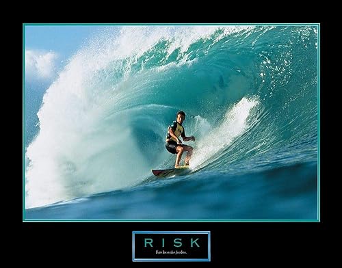 Posterazzi PDXF101542SMALL - Póster de riesgo desconocido, 24 x 18, multicolor