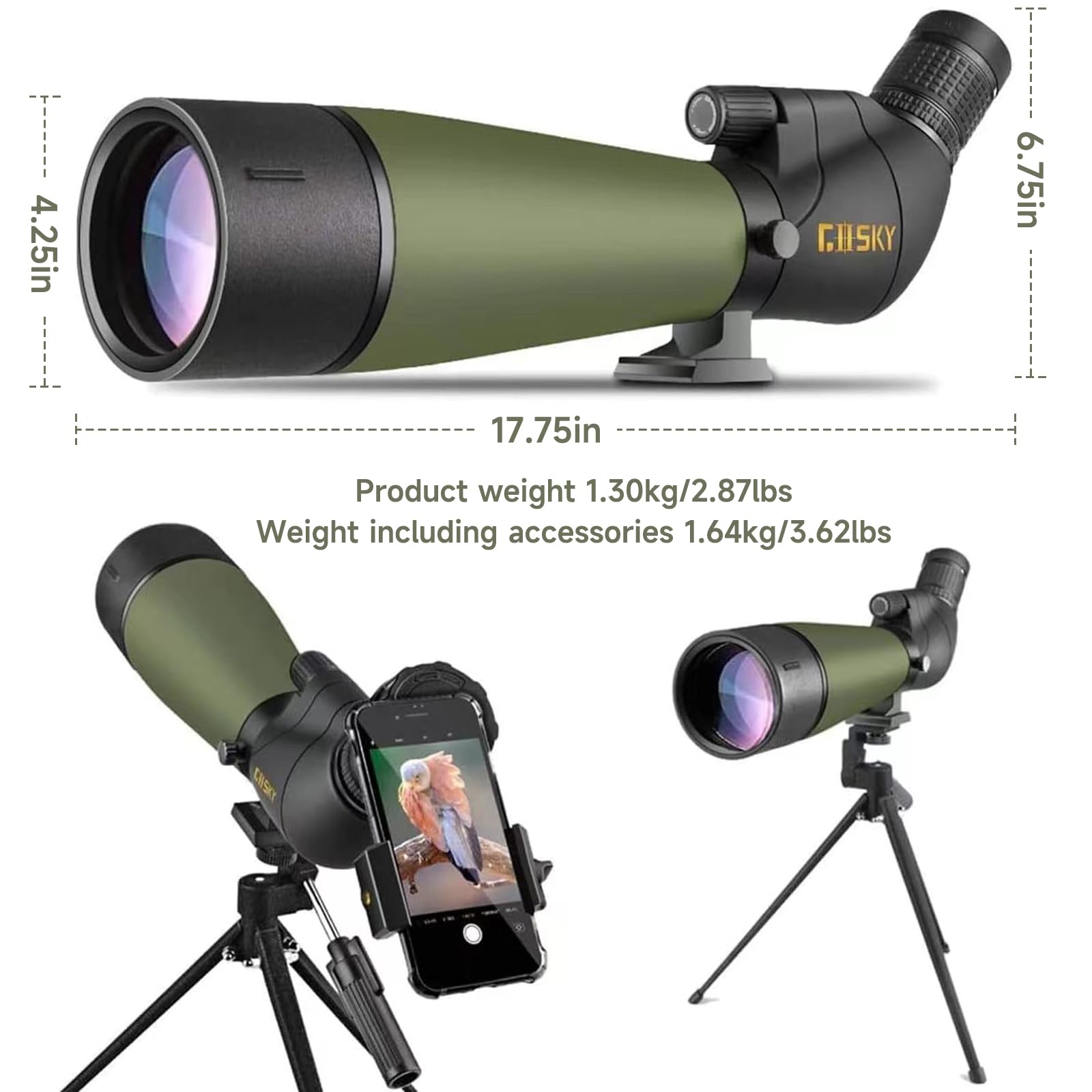 https://m.media-amazon.com/images/I/61SCx82aMxL.jpg