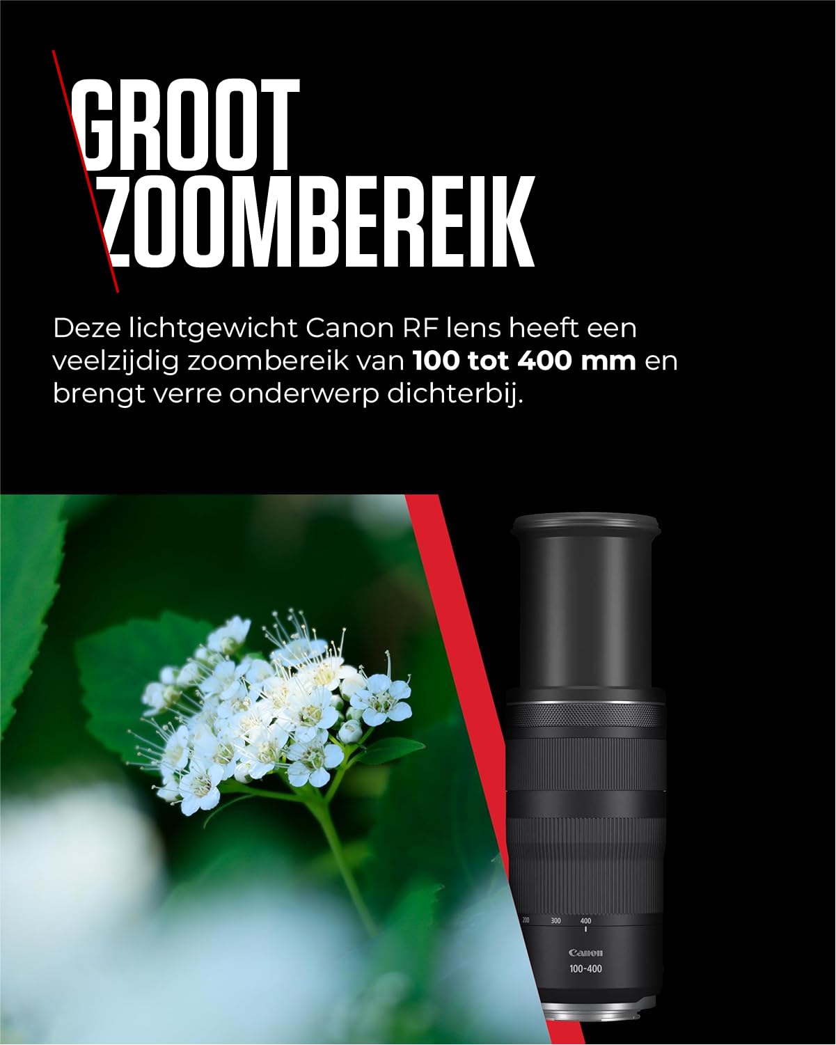 Canon Objetivo RF 100-400mm F5.6-8 IS USM - Lente Teleobjetivo Estabilizador Óptico de 5,5 Pasos para Deporte y Naturaleza | Compatible Sistema EOS R