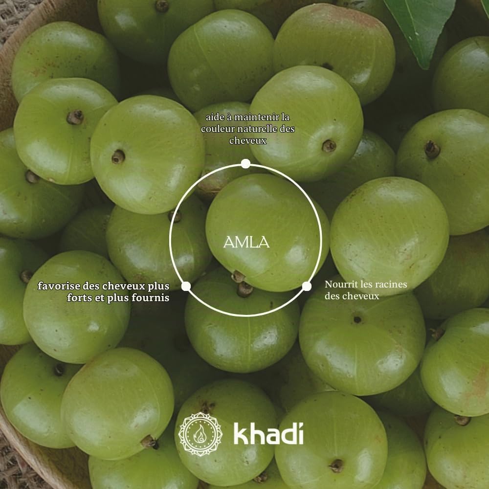 khadi AMLA VOLUME Shampooing ayurvédique – Recharge – Cheveux puissants et volume grâce aux racines fortes – 100 % naturel et végétalien – 400 ml