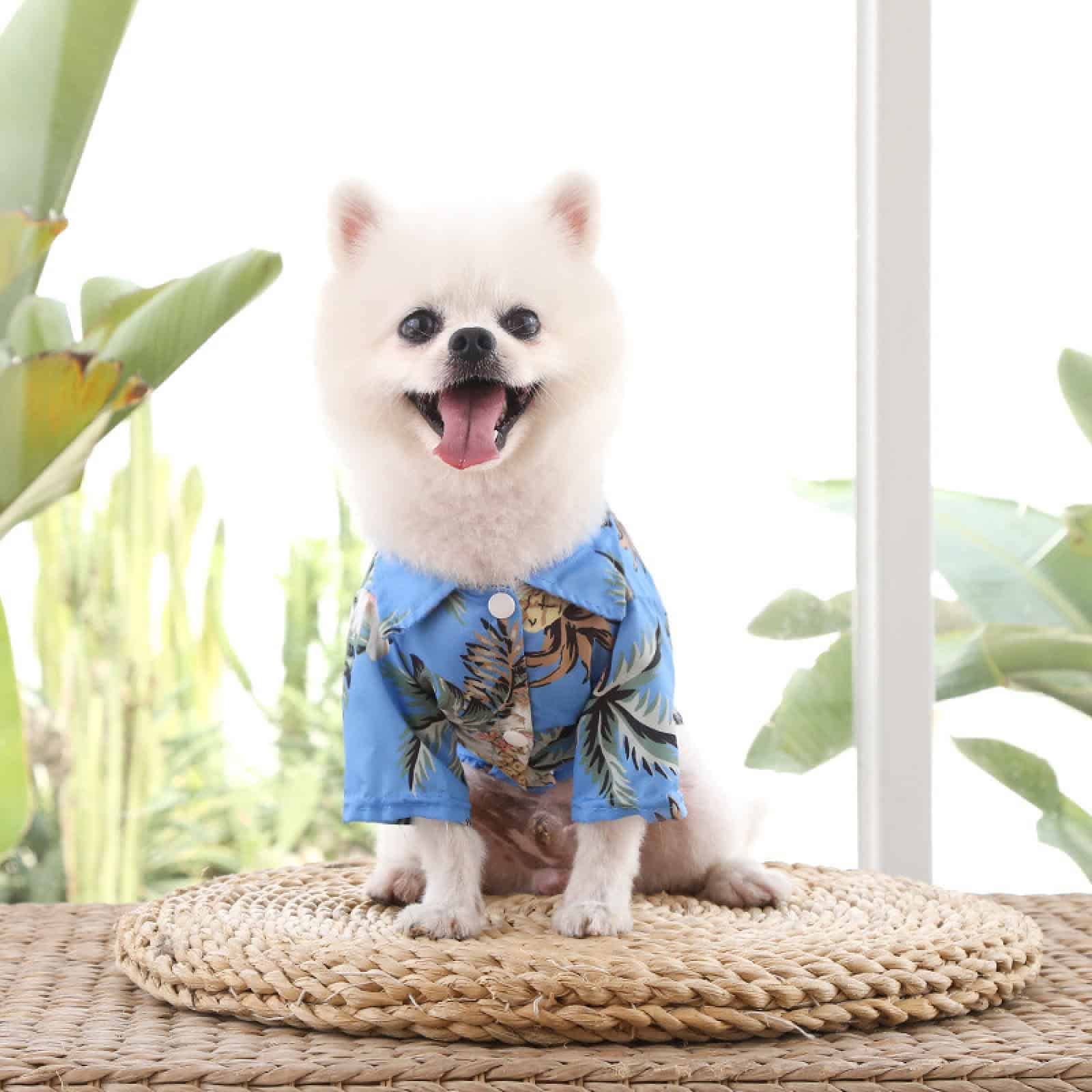 Small Medium Dog Shirt, Hawaiian Dog Clothes for Puppy and Cats