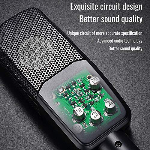 lifcasual TAKSTAR TAK35 Microfone de Gravação Profissional Condensador Cardioide Mic com Metal Winds