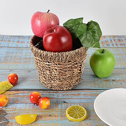 Hagao Fake Apples Artificial Fruits Highly Simulated Lifelike Red Kids Gift Home Kitchen Decoration 6 Pcs 3 Colors #TOP2