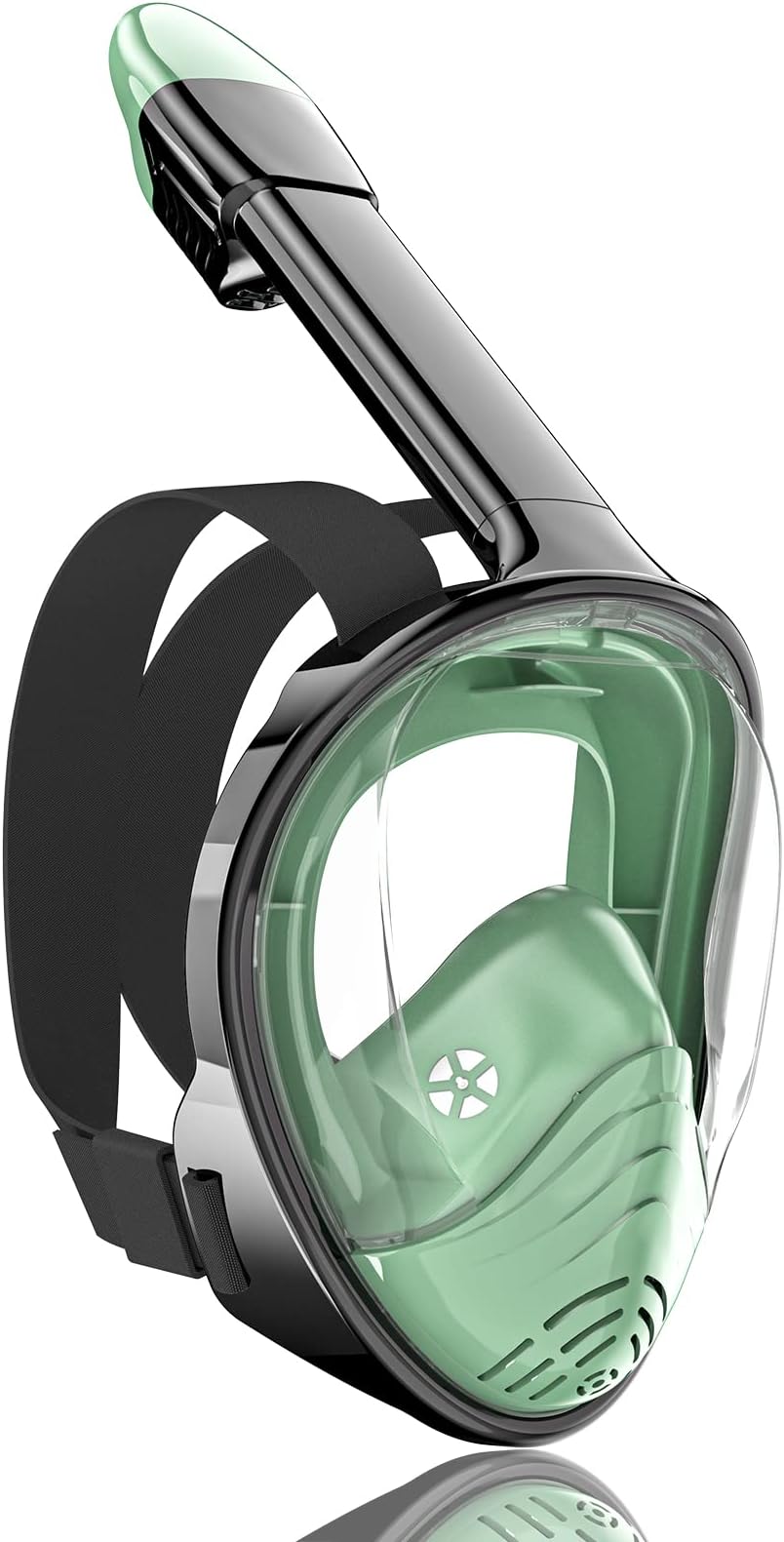 QINGSONG ADULTS SNORKEL MASK