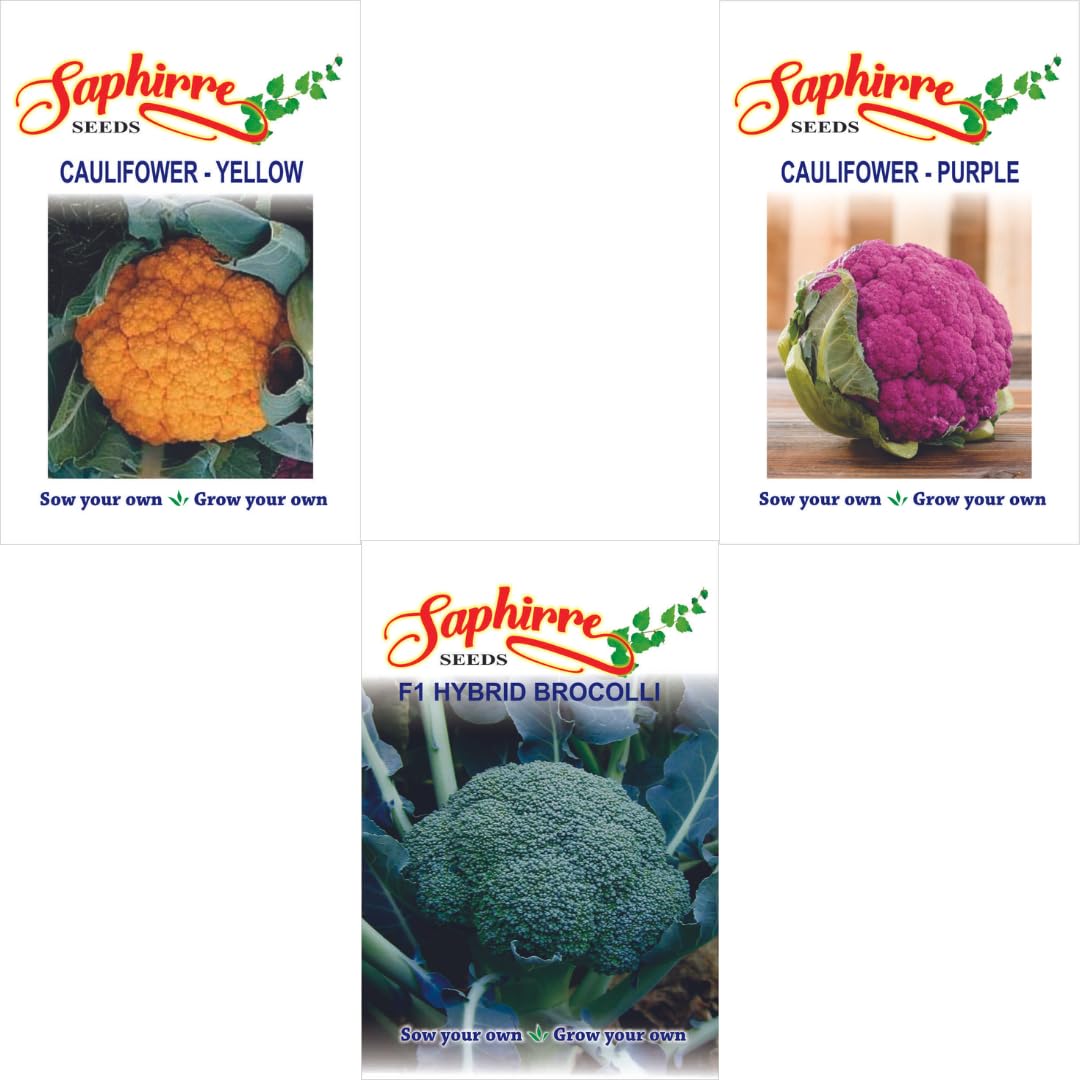 Saphirre Seeds Vegetable seeds combo cauliflower yellow, cauliflower purple, brocolli (B09PQFNVPH) Amazon Price History, Amazon Price Tracker