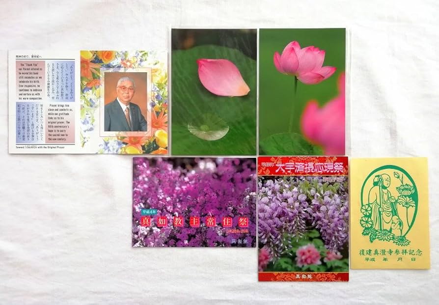 【フォトカード】 Amazon.co.jp: 真如苑 フォトカード 藤の花 蓮 他 : おもちゃ