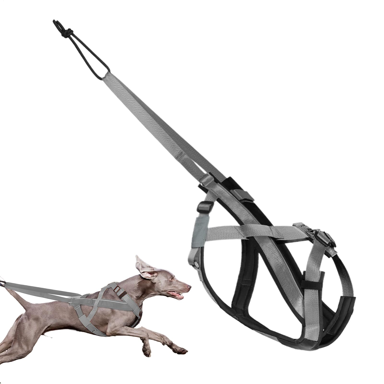 Harnais de traction ajustable chien pour stopper les tractions