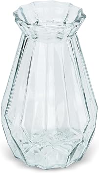 DUTTY Glass Vase Gradient Multicolor Vase Crystal Geometric Surface Colorful Glass Vase, for Home, Office,Wedding or Florist Transparent