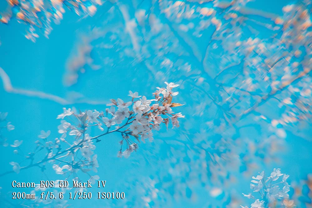 JONGSUN Vier-Prisma Spezialeffektfilter 77mm FX Glas Blendung Widescreen Film Anamorphotische DSLR Film Video Fotografie Kamera Filter Zubehör (Four Prism)