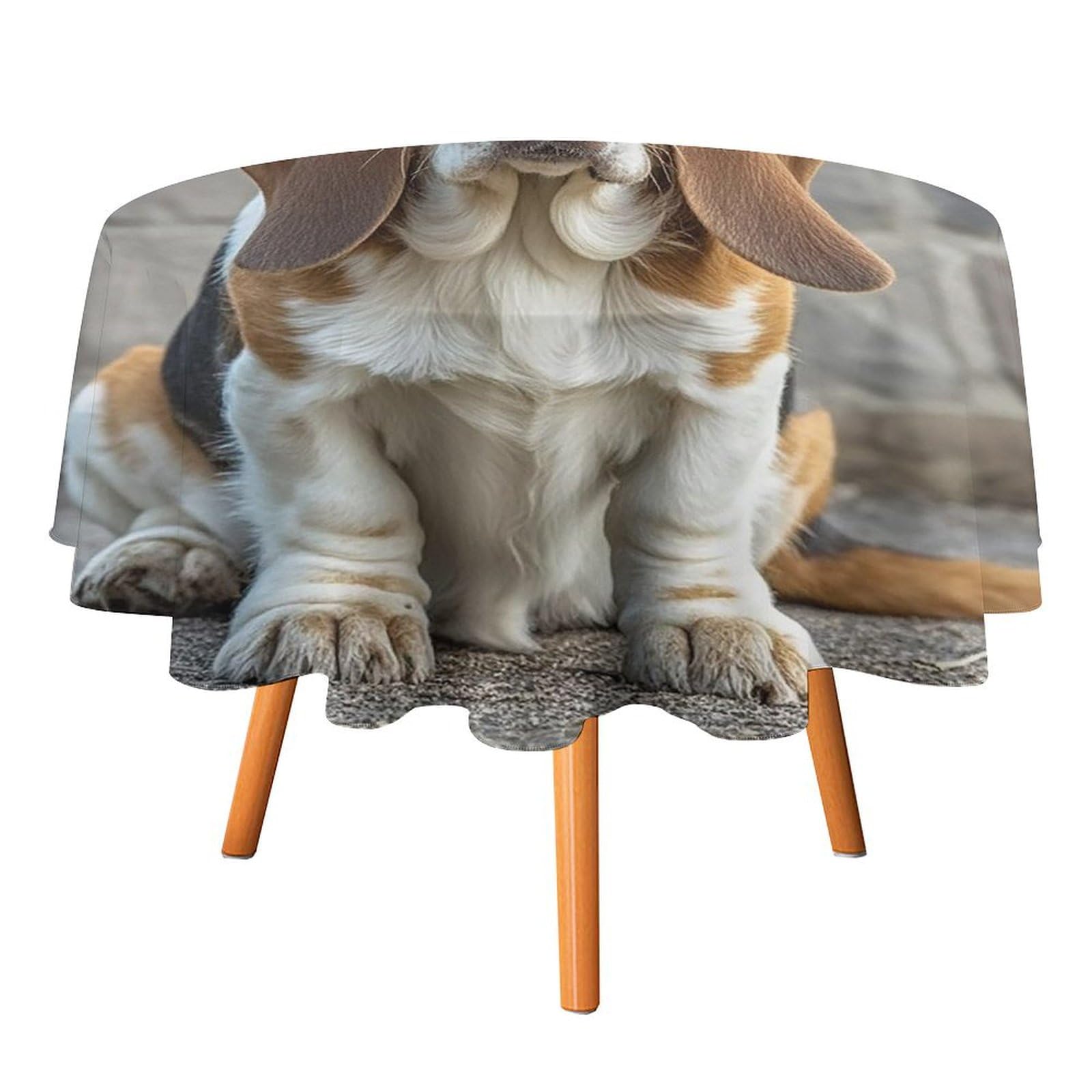 Nappe ronde lévrier basset 152,4 cm pour décoration d'intérieur et fête
