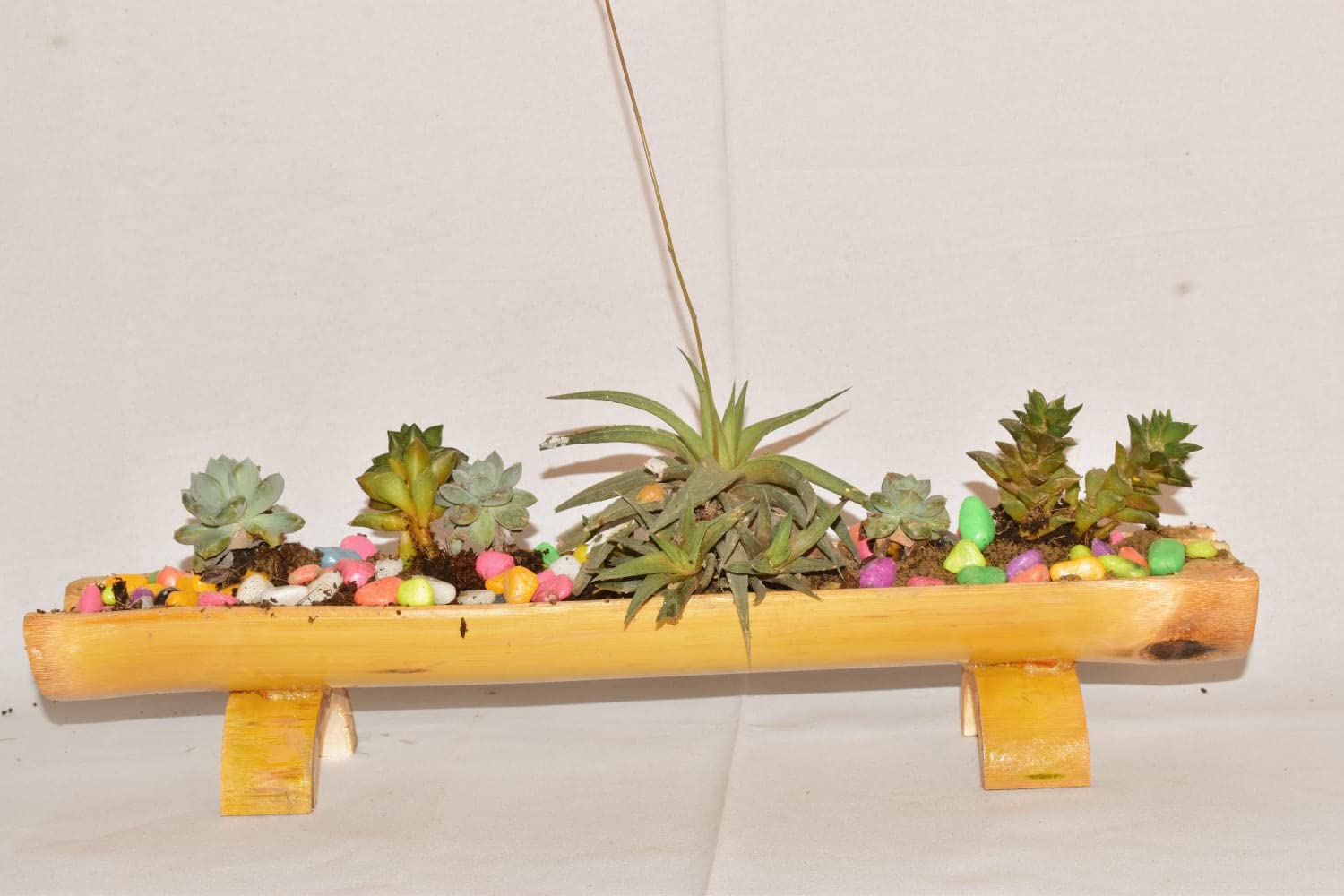 WATIKA CRAFT Table Hanging Planter Pot Bamboo Planter Eco Friendly Bamboo Planter Durable and Stylish Bamboo Planters (Half Cut Planter) (B0C4L2CXWS) Amazon Price History, Amazon Price Tracker