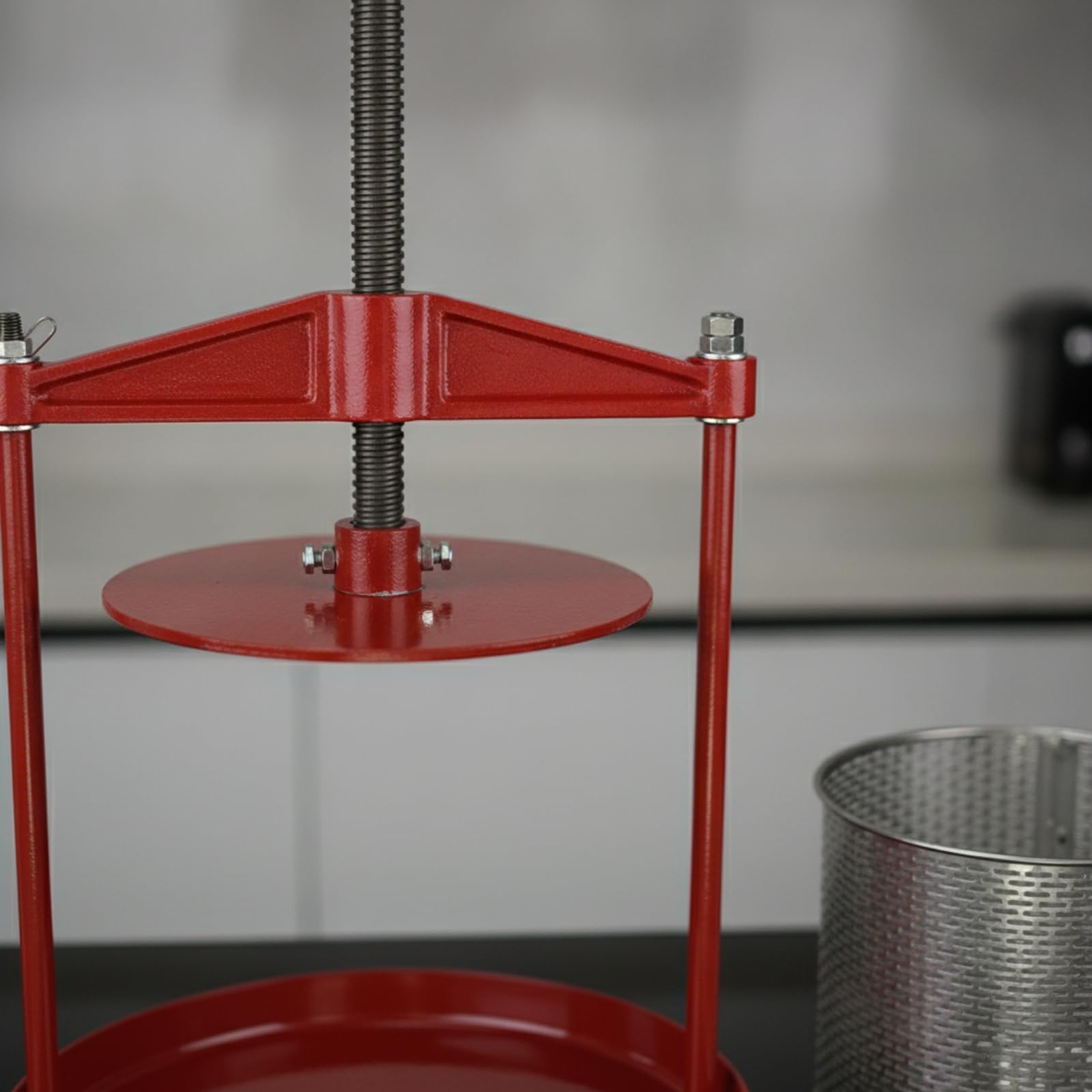 rockible Presse à Vin Manuelle Presse à Fruits Extracteur à Jus Pressoir Cuisine Cylindre Inox Panier Perforé Poignée à Vis Sortie Avant Sac Inclus Adaptée aux Vinification Maison
