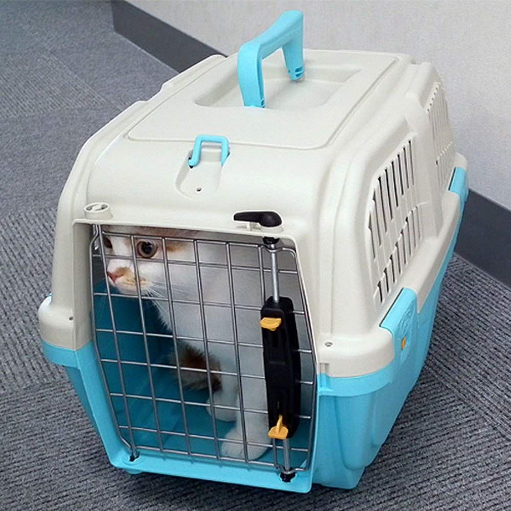 DoggyMan Doggie Express Blue Small