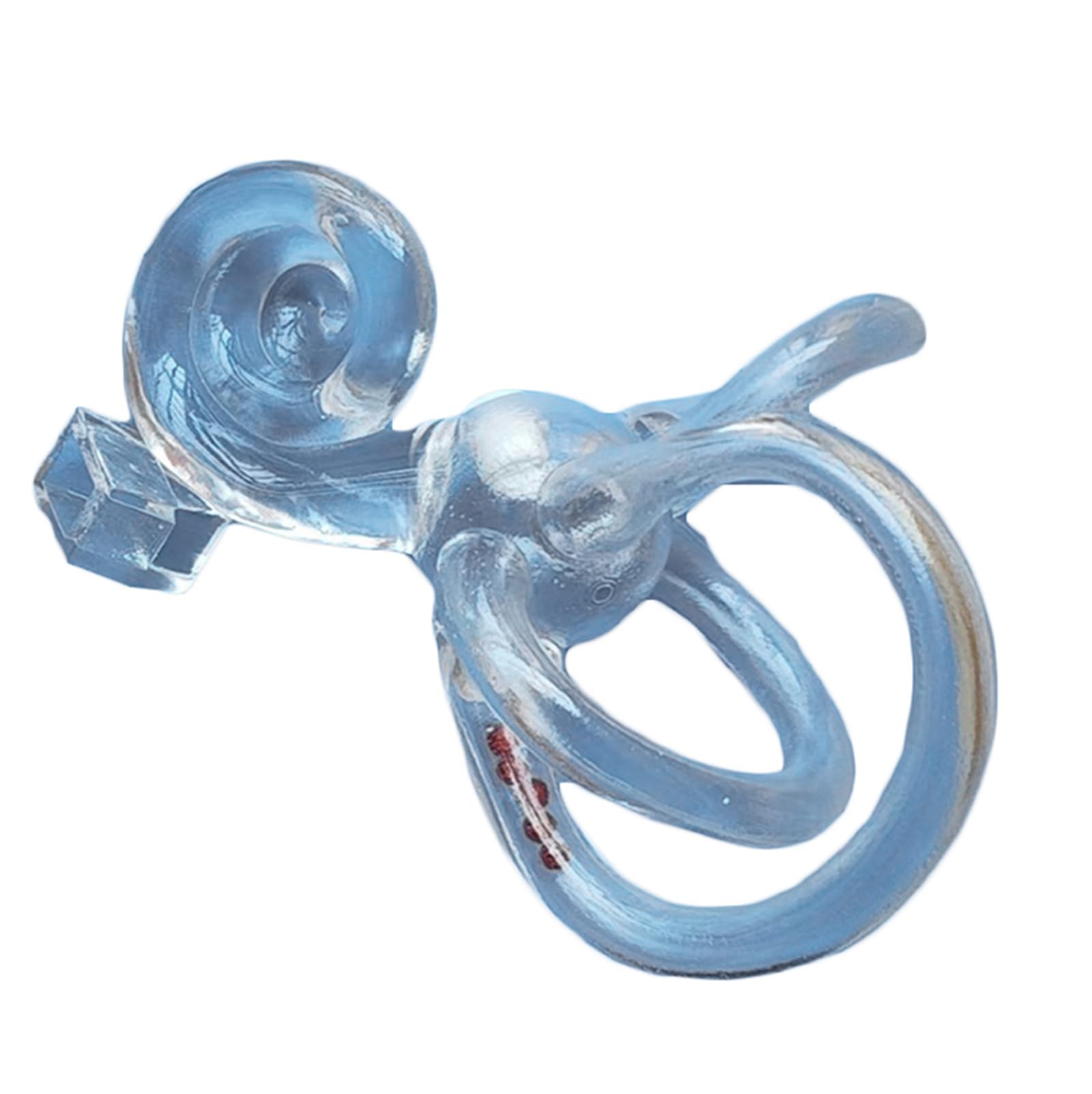 LKYLVEE Right,20cm, Semicircular Canal Model - Otolithosis Teaching Model - Cochlear Vestibular Rehabilitation Model for Study Display Teaching Tool