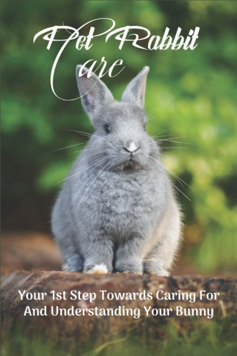 Buy Pet Rabbit Care Your 1st Step Towards Caring For And Understanding