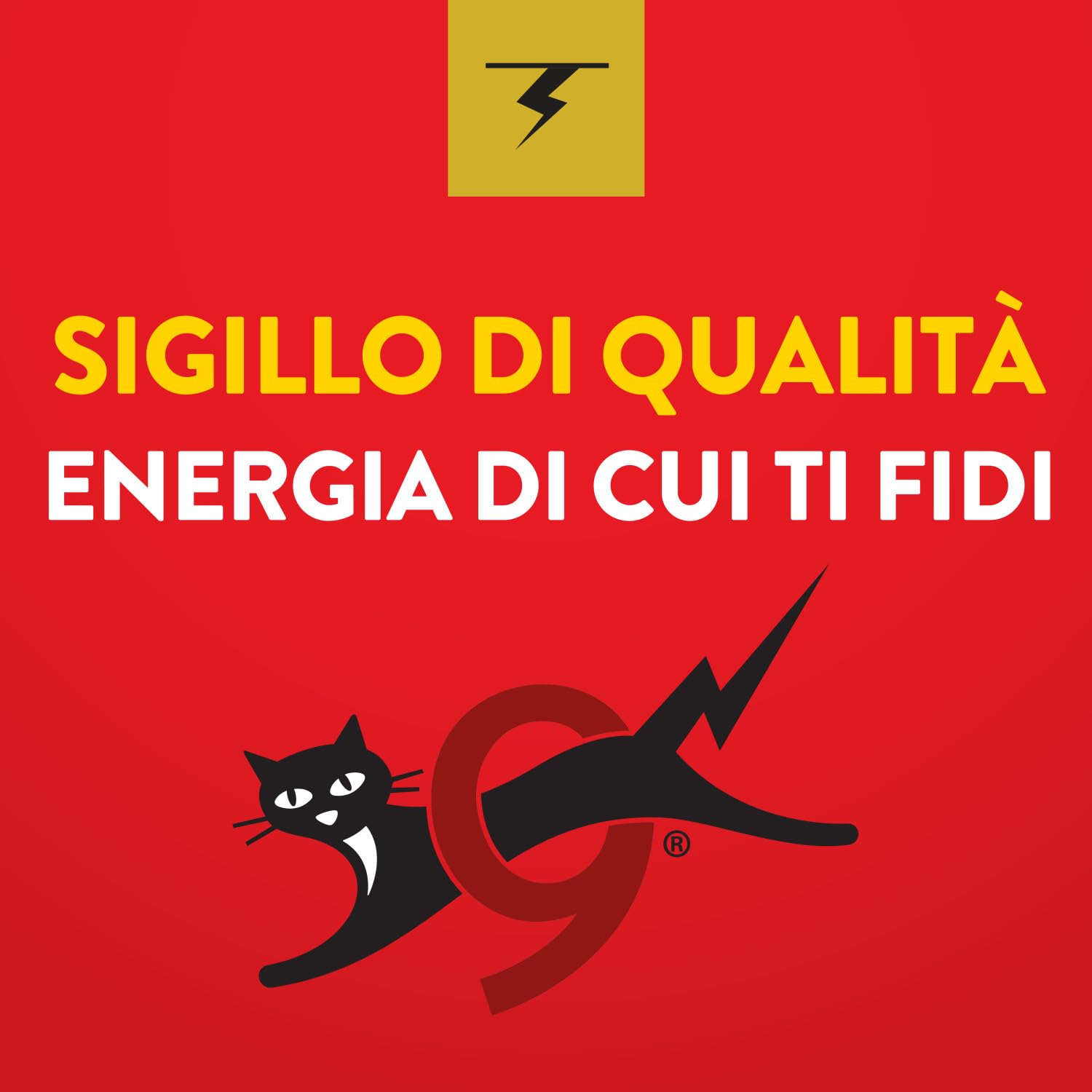Eveready Gold di Energizer - Pile AA e AAA Combo (Confezione da 80) Batterie Alcaline 1,5V - potenza di lunga durata - 100% imballaggio riciclabile - 10 anni di conservazione