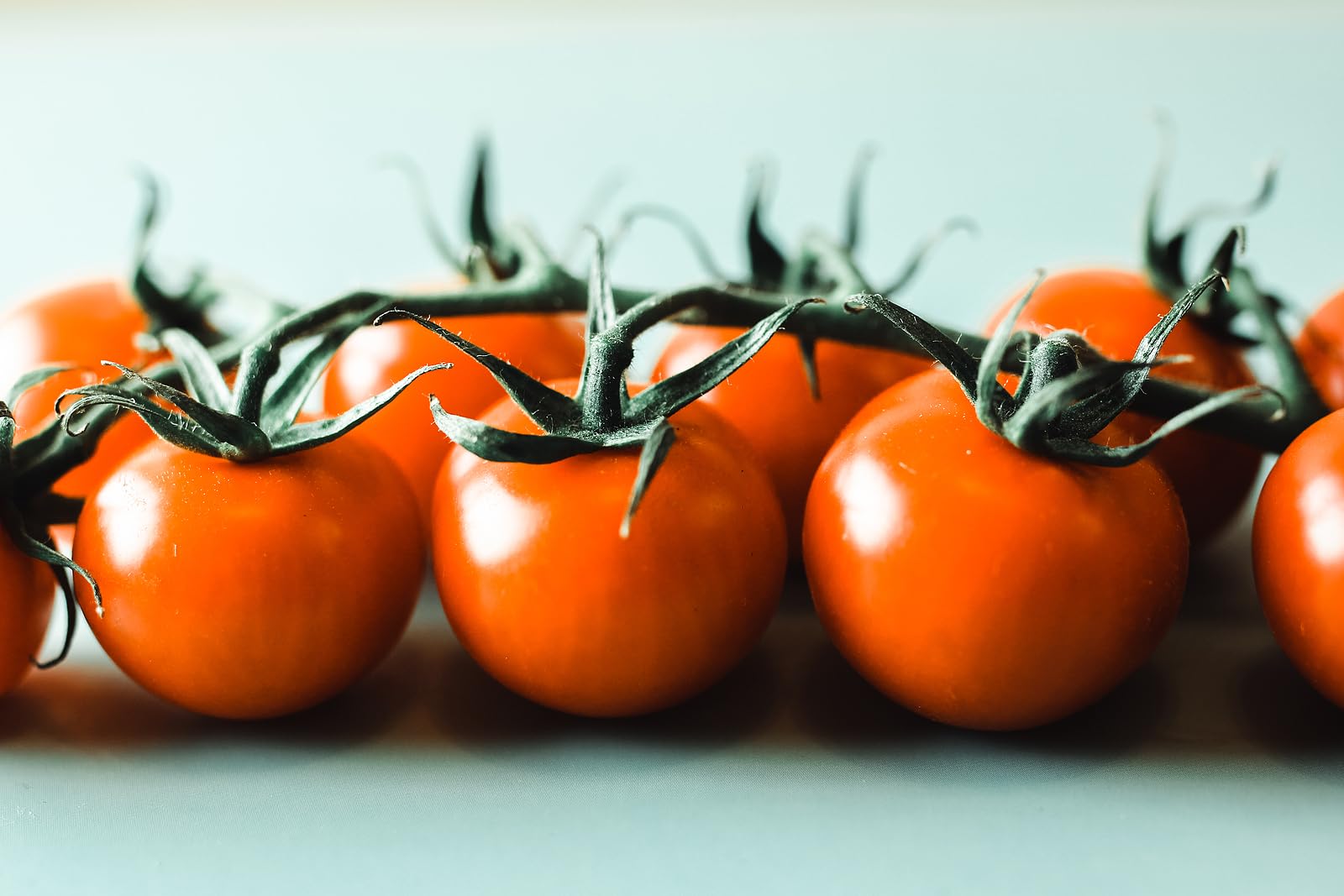 Viridis Hortus - Tomato Golden Cherry - 24 Vegetable/Fruit Seeds