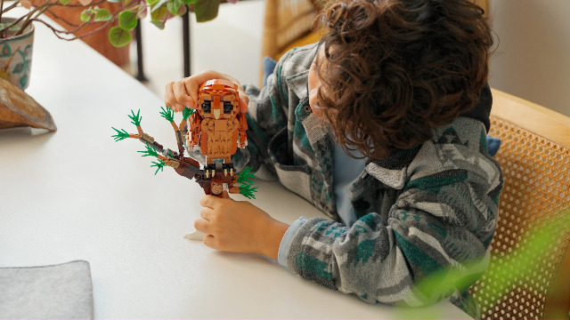 Amazon.co.jp: レゴ (LEGO) クリエイター 森のどうぶつ:アカギツネ